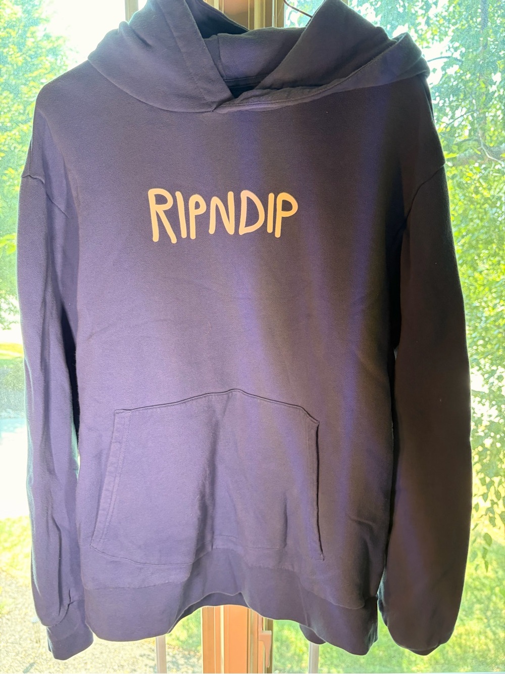 RIPNDIP Men's Light Blue Hoodie